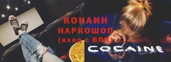 гидра Арсеньев