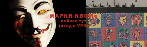 гидра Арсеньев