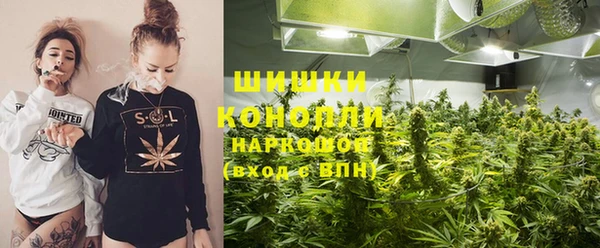 гидра Арсеньев