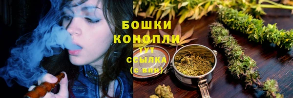 крисы Аркадак